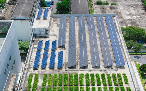 rooftop solar green